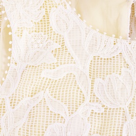 Bryony Lace Mini Dress