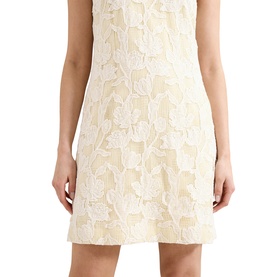 Bryony Lace Mini Dress