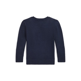 Polo Bear Sweater