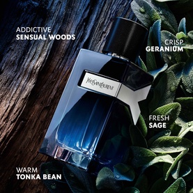 Y Eau de Parfum 100ml Spring Set