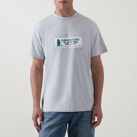 Model wearing Carhartt Bumper Stickers Logo T-Shirt in Pontiki grey with crew neck and graphic print, styled with blue jeans.
