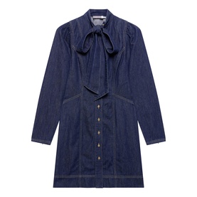 Denim Pussy Bow Mini Flared Dress