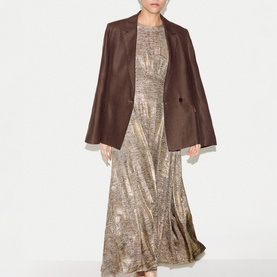 Shimmer Curved Seam Flared Dress