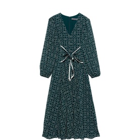 Printed Scarf Detail Flared Dress