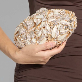 Extravagant Embellished Hard Case Clutch