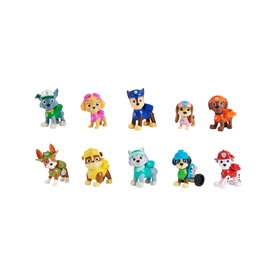 10th Anniversary Collectible All Paws Gift Pack