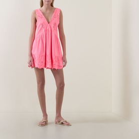 Embroidered Mini Flared Dress