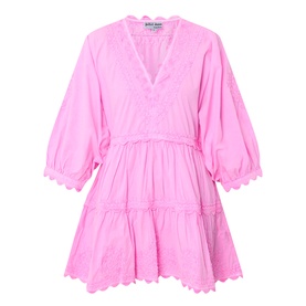 Flamingo Embroidered Mini Dress