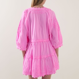 Flamingo Embroidered Mini Dress