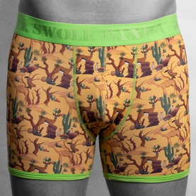 Swole Panda Boxers in multi desert cactus print with green waistband and trim, flatlay product shot.