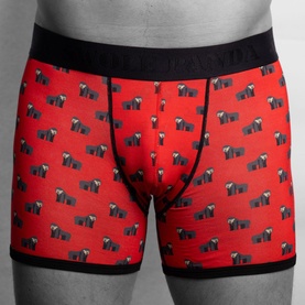 Model wearing Swole Panda Boxers in red with all-over badger print and black waistband