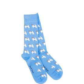 Terrier Socks