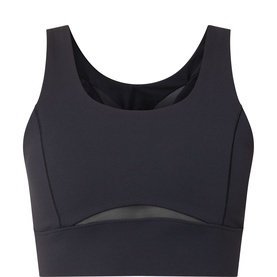 Sheer Panel Sports Bra