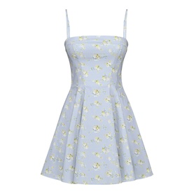 Dolly Floral Print Mini Sundress