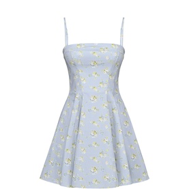 Dolly Floral Print Mini Sundress