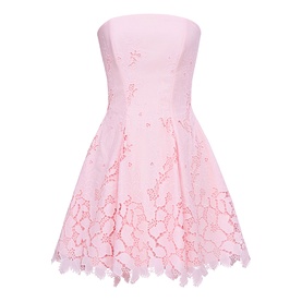 Jemima Strapless Broderie Mini Dress