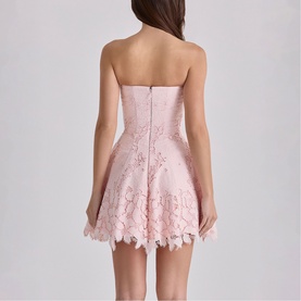 Jemima Strapless Broderie Mini Dress