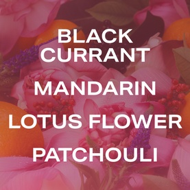 Phlur Paradise Nectar Hair and Body Mist fragrance notes graphic featuring black currant, mandarin, lotus flower and patchouli on a floral background.