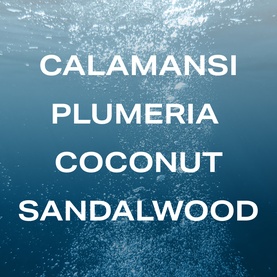 Phlur Island Swim Hair and Body Mist fragrance notes graphic listing calamansi, plumeria, coconut and sandalwood on blue water background.