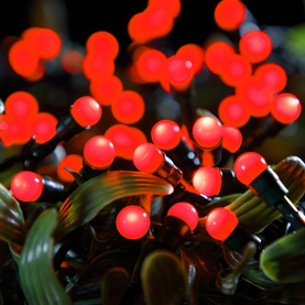 Red LED berry string lights with round bulbs on dark green wire, shown illuminated against a dark background