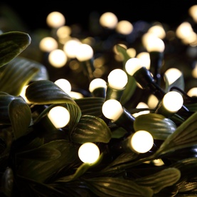 Noma white globe string lights with warm white LED bulbs on dark green wire, nestled among dark leaves