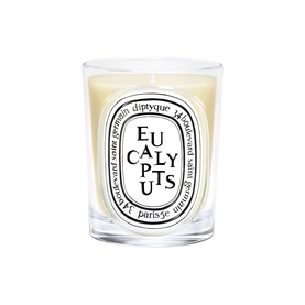 Eucalyptus Classic Candle