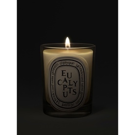 Eucalyptus Classic Candle