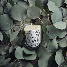 Eucalyptus Classic Candle