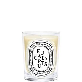 Eucalyptus Classic Candle