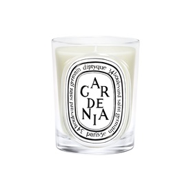 Gardenia Classic Candle