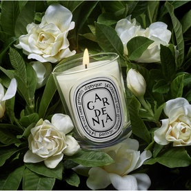 Gardenia Classic Candle