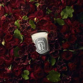 Geranium Rosa Classic Candle