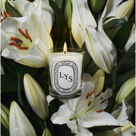Lys Classic Candle