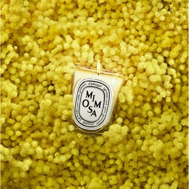 Mimosa Classic Candle