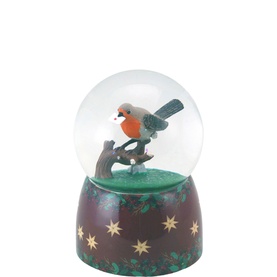 Robin Christmas Message Snow Globe 16cm