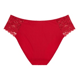 Leia Lace Briefs