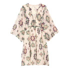 Olalie Embroidered Mini Flared Dress
