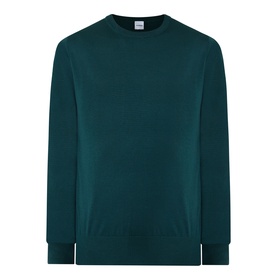 Aspesi Solid Wool Sweater in green, crew neckline, long sleeves, ribbed cuffs and hemline, 100% wool