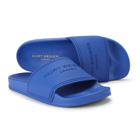 Slider Tonal Logo Slides