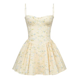 Samaria Floral Corset Mini Dress