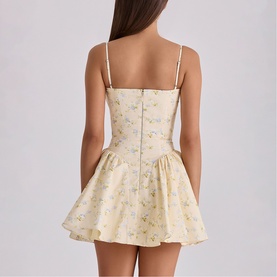 Samaria Floral Corset Mini Dress