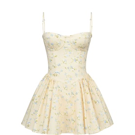 Samaria Floral Corset Mini Dress