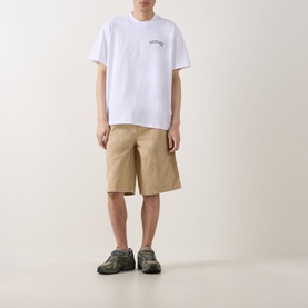 Model wearing Dickies Bettsville Logo T-Shirt in white with khaki shorts and grey trainers.