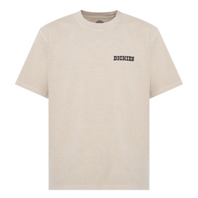 Dickies Darrtown Logo T-Shirt in Eucalyptus, crew neck, short sleeves, with chest logo detail and straight hemline.