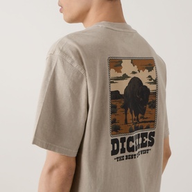 Model wearing Dickies Darrtown Logo T-Shirt in Eucalyptus, showing back buffalo graphic print and Dickies logo text detail.