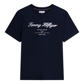 Tommy Hilfiger Script Logo T-Shirt in Desert Sky, crew neck with textured script logo and embroidery detail on chest