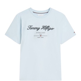 Tommy Hilfiger light blue crew neck T-shirt with navy script logo and Established New York print on chest