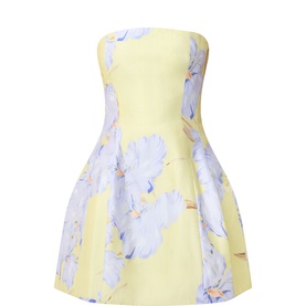 Karoline Hourglass Mini Dress