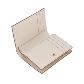 Loewe wallet in Light Ghost Grey leather, open to reveal multiple card slots and gold-tone snap closure detail.