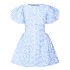Bilberry Jacquard Mini Dress
